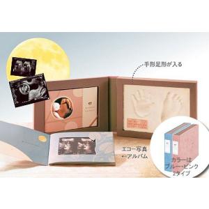 エコー写真 保存 アルバムの商品一覧 通販 Yahoo ショッピング