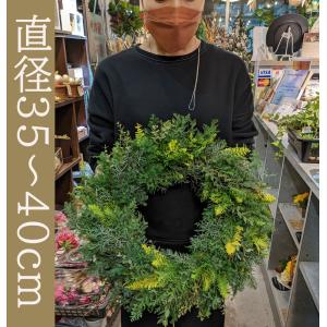 クリスマスリース 手作り クリスマスリース 北...の詳細画像1
