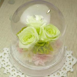 【メッセージ彫刻対応】プリザーブドフラワー ライスパールドームローズ(フレッシュグリーン) 結婚記念日 誕生日 推し活 お祝い 記念品