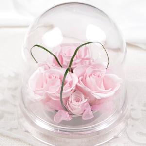 【メッセージ彫刻対応】プリザーブドフラワー アクリルドーム トリプルポイントドームローズ(ピンク) 結婚記念日 誕生日 推し活 お祝い 記念品 ギフト