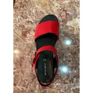 イタリアGenigni仕入 STONEFLY ...の詳細画像1