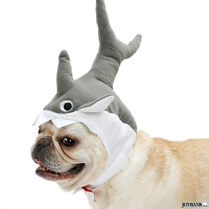 ペット 猫 犬 被り物 帽子 鮫 サメ 撮影 シャーク ハロウィン コスプレ 2サイズ おもしろ雑貨 ジョークグッズ さめ 着ぐるみ Wan044 ワールドインポートjj 通販 Yahoo ショッピング