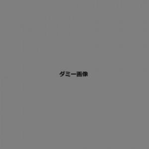 大 そば・うどんDVD付 家庭用麺打ちセット A-1220 豊稔企販