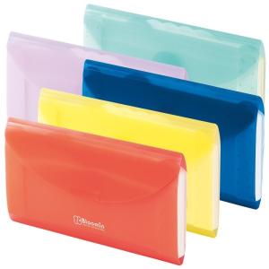 Bloomin ドキュメントファイル5P チケットサイズ