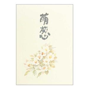 便箋 萌葱 アピカ SEN303 セン303