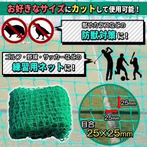 ゴルフネット 万能ネット 2m×3m 目合25...の詳細画像1