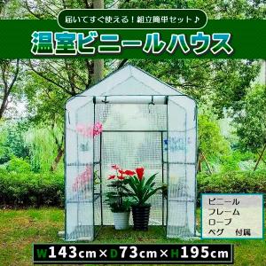 ビニールハウス 温室 ビニール温室 家庭用 ガー...の商品画像