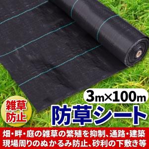 防草シート 3m × 100m 100メートル 除草 雑草 遮光 シート マット ポリエチレン 芝生 ウィードガード 防止 抑制 黒 ブラック 歩行 通路 園芸 庭 ガーデニング