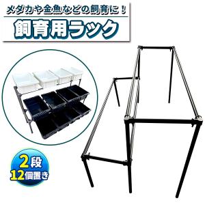 メダカ飼育ケース深緑36L オーバーフローメッキフィルター付き めだか