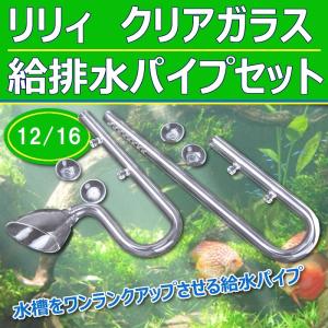 ロングピンセット 48 cm 2 本 セット アクアリウム 水草 ADA水槽