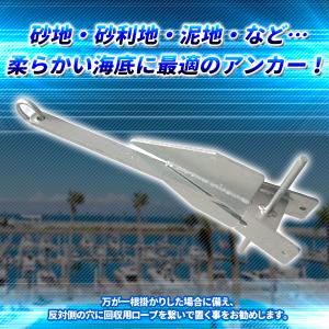 ダンフォースアンカー 10kg 10キロ ダン...の詳細画像1