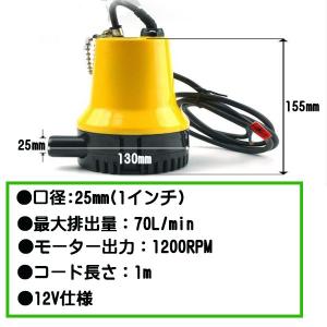 電動 水中ポンプ 海水 対応 小型 軽量 70...の詳細画像3