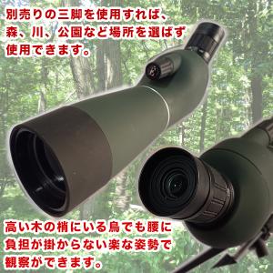 フィールドスコープ 望遠鏡 単眼鏡 三脚 ケー...の詳細画像1