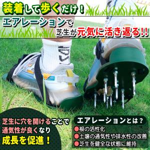 ガーデンスパイク 芝生 ローンスパイク 穴あけ...の詳細画像1