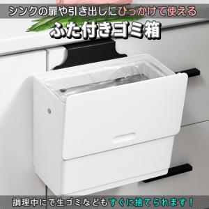 ゴミ箱 ふた付き 9L 生ゴミ シンク扉 壁掛...の詳細画像1