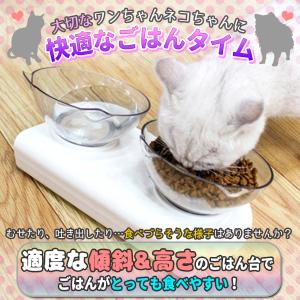 フードボウル 2個セット 猫 餌皿 エサ皿 食...の詳細画像1
