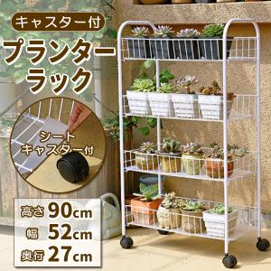 メダカ飼育黒ラック 2段12個置き めだか飼育棚 容器棚 めだか容器産卵