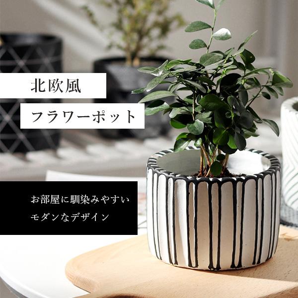 フラワーポット プランター 植木鉢 北欧風 おしゃれ ストライプ ホワイト×ブラック 観葉植物 木 ...