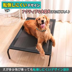 ペットベッド 犬 Mサイズ 洗える 脚付き 噛...の詳細画像3