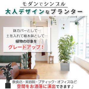 プランター 大型 30×30cm スクエア 正...の詳細画像1