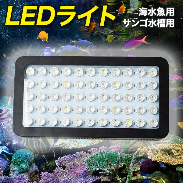 水槽 LED ライト 海水魚 サンゴ 水槽用 165w カスタム 本体 UV 6個 バイオレット 6...