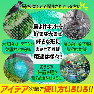 鳥よけネット ネット 10m 鳥よけ 園芸 ガ...の詳細画像1