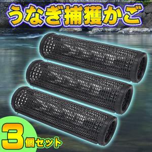 恋するばんちょ　うなぎてぼ 魚かご 恋するばんちょ うなぎてぼ 魚かご 楽天市場】【5％OFF☆本日迄】