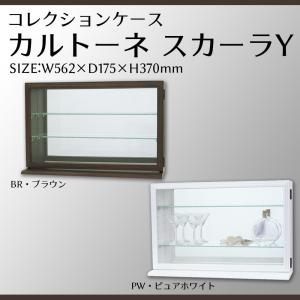 塩川光明堂 コレクションケース カルトーネ スカーラY BR ブラウン