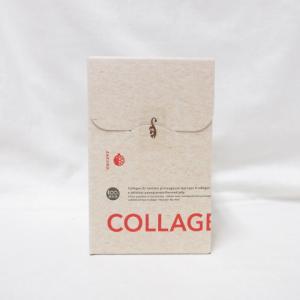 sinary シナリー コラーゲン ZJ COLLAGEN ZJ 620g ( 20g×31本 )