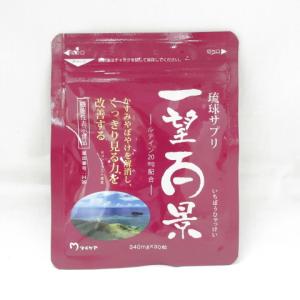 ○尿酸と脂肪の W BUSTER ダブル バスター 30日分 90粒 (サプリメント