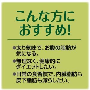 肥満気味の方のお腹の脂肪を減らす カテキン減肥...の詳細画像5