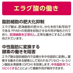 スリムバリアV6 機能性表示食品 60粒 30...の詳細画像4