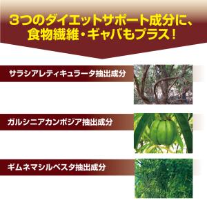 フィットコーヒーすらり 30包 単品 ダイエッ...の詳細画像5