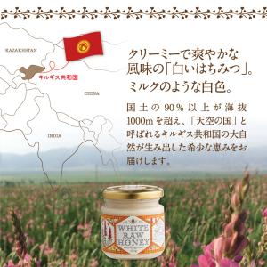 エコチャージジャパン キルギスの白いはちみつ ...の詳細画像2