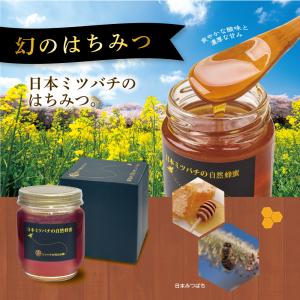日本ミツバチの自然蜂蜜 220g 単品 新登場...の詳細画像1