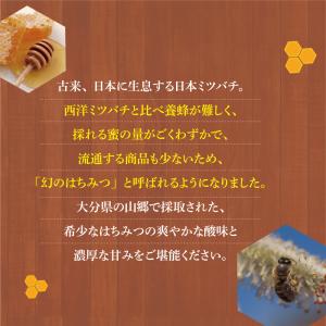 日本ミツバチの自然蜂蜜 220g 単品 新登場...の詳細画像2