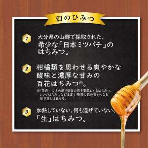 日本ミツバチの自然蜂蜜 220g 単品 新登場...の詳細画像3