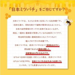 日本ミツバチの自然蜂蜜 220g 単品 新登場...の詳細画像4