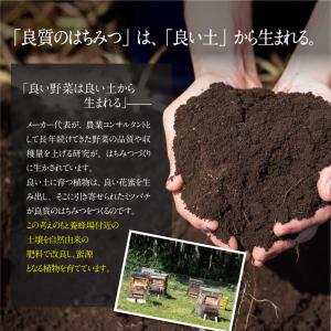 HONEY.K 国産百花生蜂蜜 300g 単品...の詳細画像5