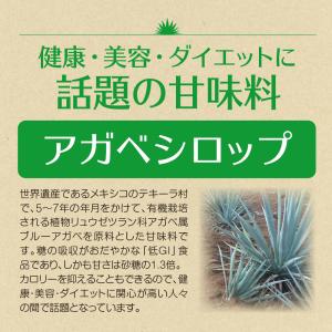 アルマテラ 有機アガベシロップゴールド 330...の詳細画像3