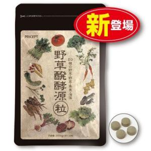 野草醗酵源粒 粒タイプ 約120粒 訳あり販売/賞味期限:2...