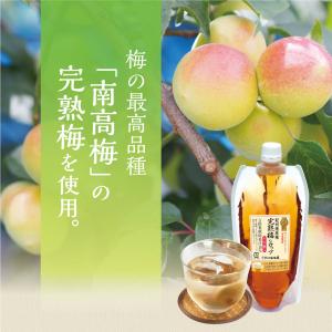 完熟梅シロップ 330g 5個組 新登場 酸味...の詳細画像5