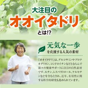 終売・賞味期限間近のため訳あり 北海道産オオイ...の詳細画像3