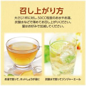 国産生姜シロップ 215g 単品 香料・保存料...の詳細画像5