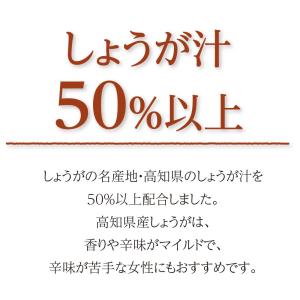 国産 生姜シロップ 215g 5本組 送料無料...の詳細画像3