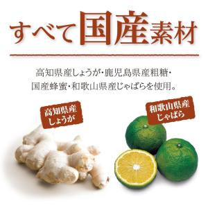 国産 生姜シロップ 215g 5本組 送料無料...の詳細画像4