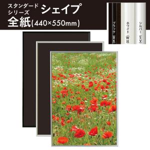 アルテ B2サイズ スタンダードシリーズシェイプ ポスターフレーム