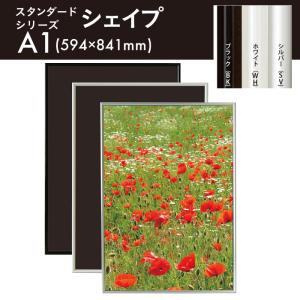 掛け軸 滝／大橋秀麗 肉筆 美術年鑑掲載作家 掛軸 全国送料無料