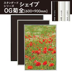 アルテ A0サイズ スタンダードシリーズシェイプ ポスターフレーム