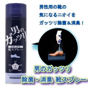 男のガッツリ除菌 消臭靴スプレー 280ml 消臭スプレー 靴 脱臭 下駄箱 メンズ 除菌 スプレー h912｜pricewars